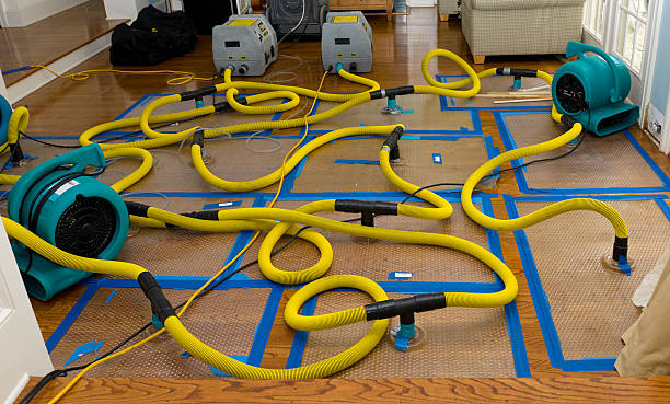 Professional Crawl Space Water Removal technician working in Bargersville, IN